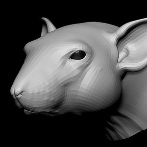 3D rat head base mesh model