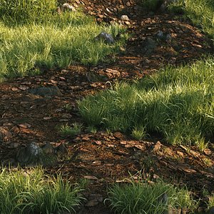 Grass Pack 001 - Ornamental Grasses 3D