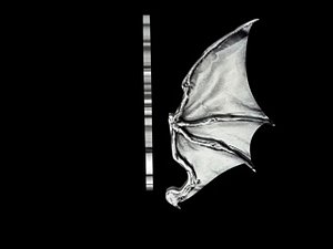 Gargoyle wings