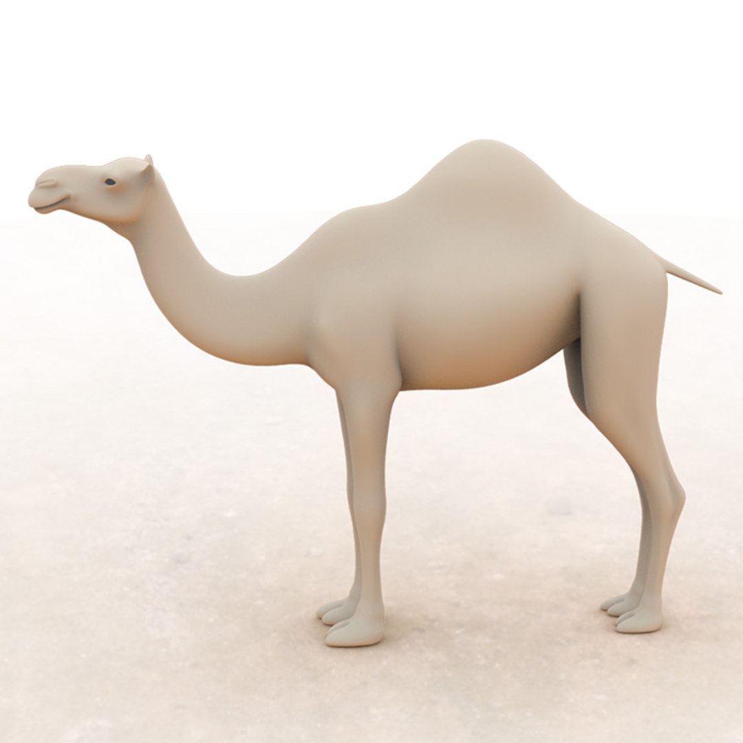 3d camel modeled model https://p.turbosquid.com/ts-thumb/bb/7OaCoh/ZPkJdXlX/003/jpg/1347815689/1920x1080/fit_q87/abaa015f995c69123ad058b158224c4bc7b0c857/003.jpg
