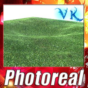 Grass High Resolution