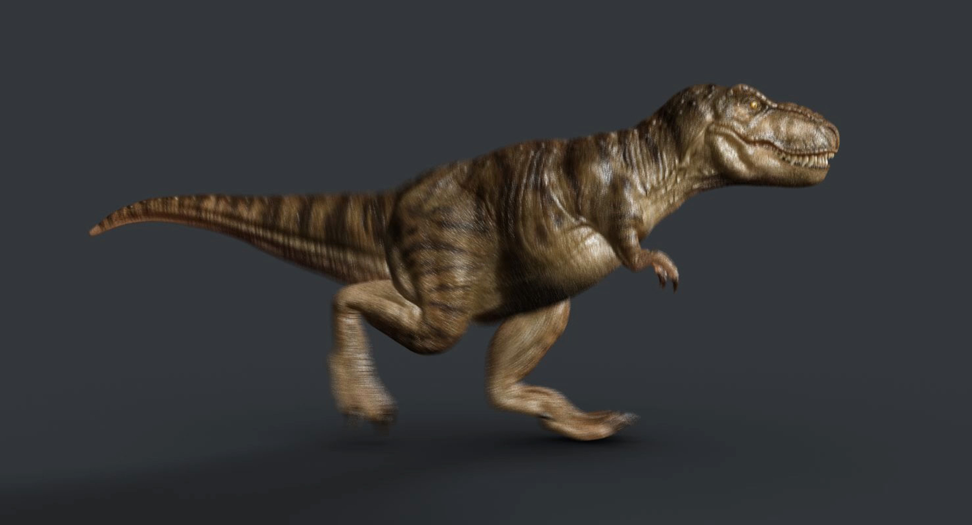 modèle 3D de T Rex en cours d'exécution animé truqué - TurboSquid 2102417