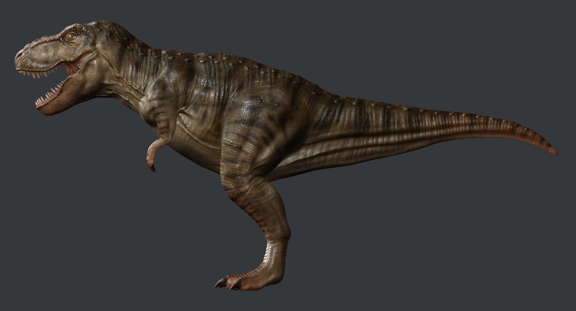 tyrannosaurus rex trex animation 3d model https://p.turbosquid.com/ts-thumb/bb/SpD7PP/5UjcibAj/render4/jpg/1437112086/1920x1080/fit_q87/ab78ed72ae8681a46c9ebd1a64b645de232b406b/render4.jpg
