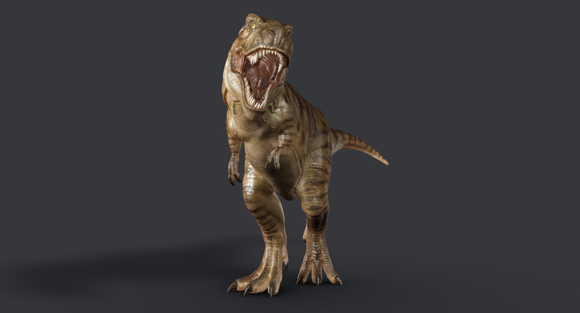 tyrannosaurus rex trex animation 3d model https://p.turbosquid.com/ts-thumb/bb/SpD7PP/8OlLOp0I/main1440/jpg/1437117618/1920x1080/fit_q87/0926929ab745a184518e3236e76d1797a087b583/main1440.jpg