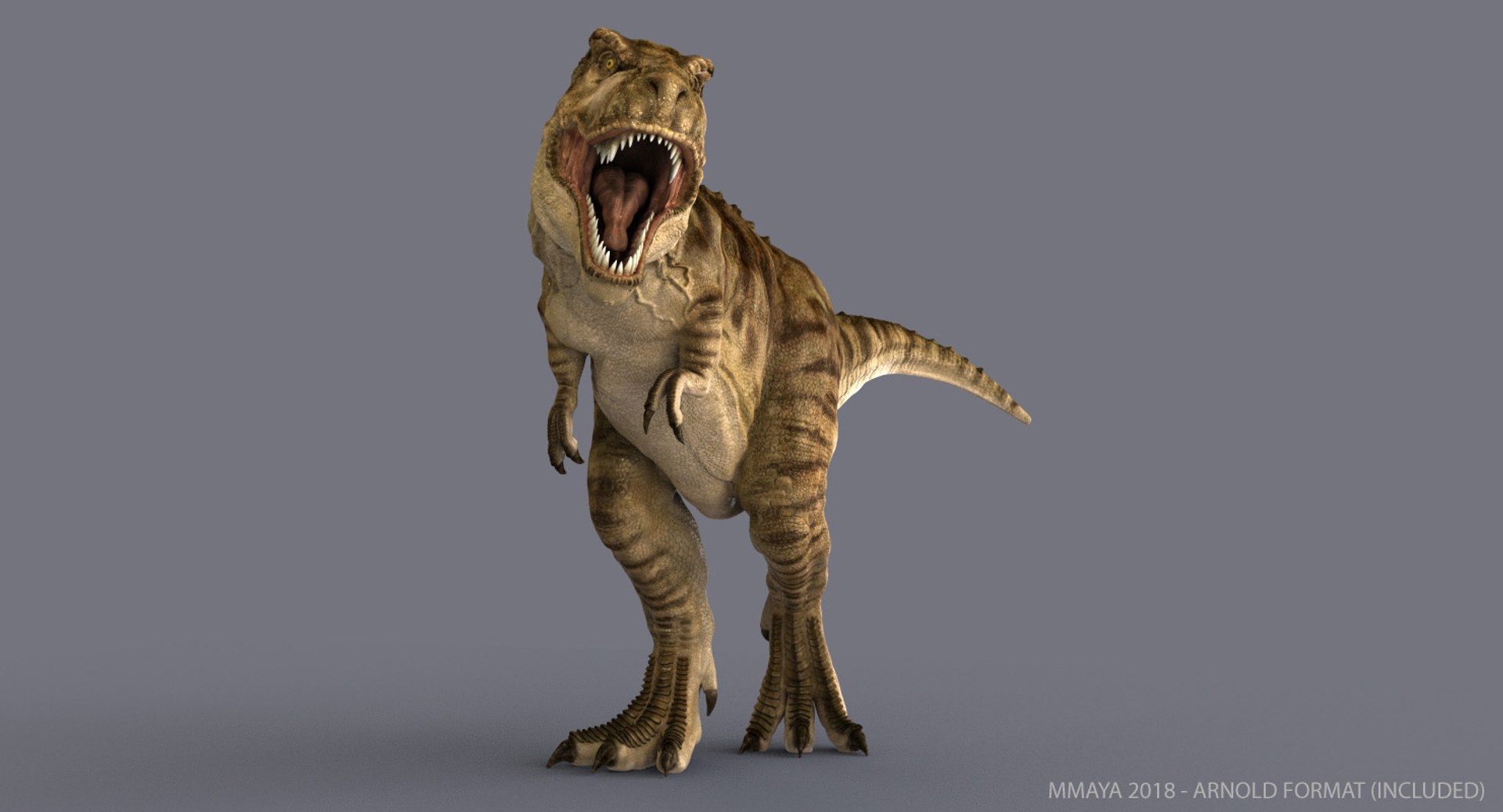 tyrannosaurus rex trex animation 3d model https://p.turbosquid.com/ts-thumb/bb/SpD7PP/BqxHecsS/pose02/jpg/1543225142/1920x1080/fit_q87/6853a201e46a244dbbb27d3661c78999c36c2a82/pose02.jpg