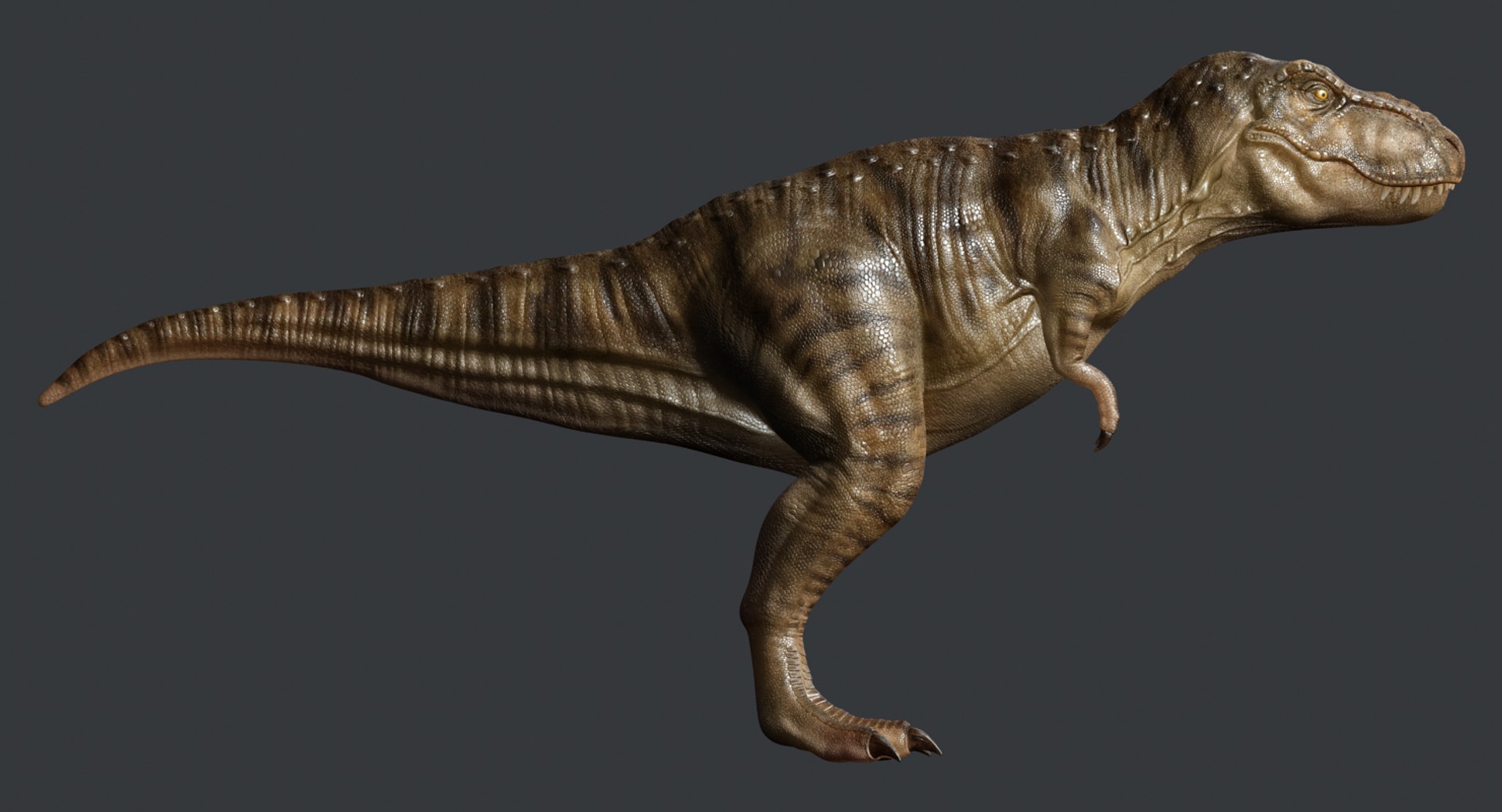 tyrannosaurus rex trex animation 3d model https://p.turbosquid.com/ts-thumb/bb/SpD7PP/CMPl6d0a/render4b/jpg/1437112086/1920x1080/fit_q87/64d7d69052b477a53be5520b0aeab2a28b27e50d/render4b.jpg