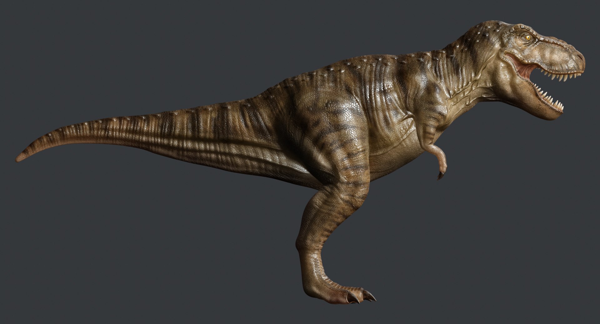 tyrannosaurus rex trex animation 3d model https://p.turbosquid.com/ts-thumb/bb/SpD7PP/GrCrG1XR/render4a/jpg/1437112086/1920x1080/fit_q87/f700d612642da6410e97efa34e4ed62187413e61/render4a.jpg