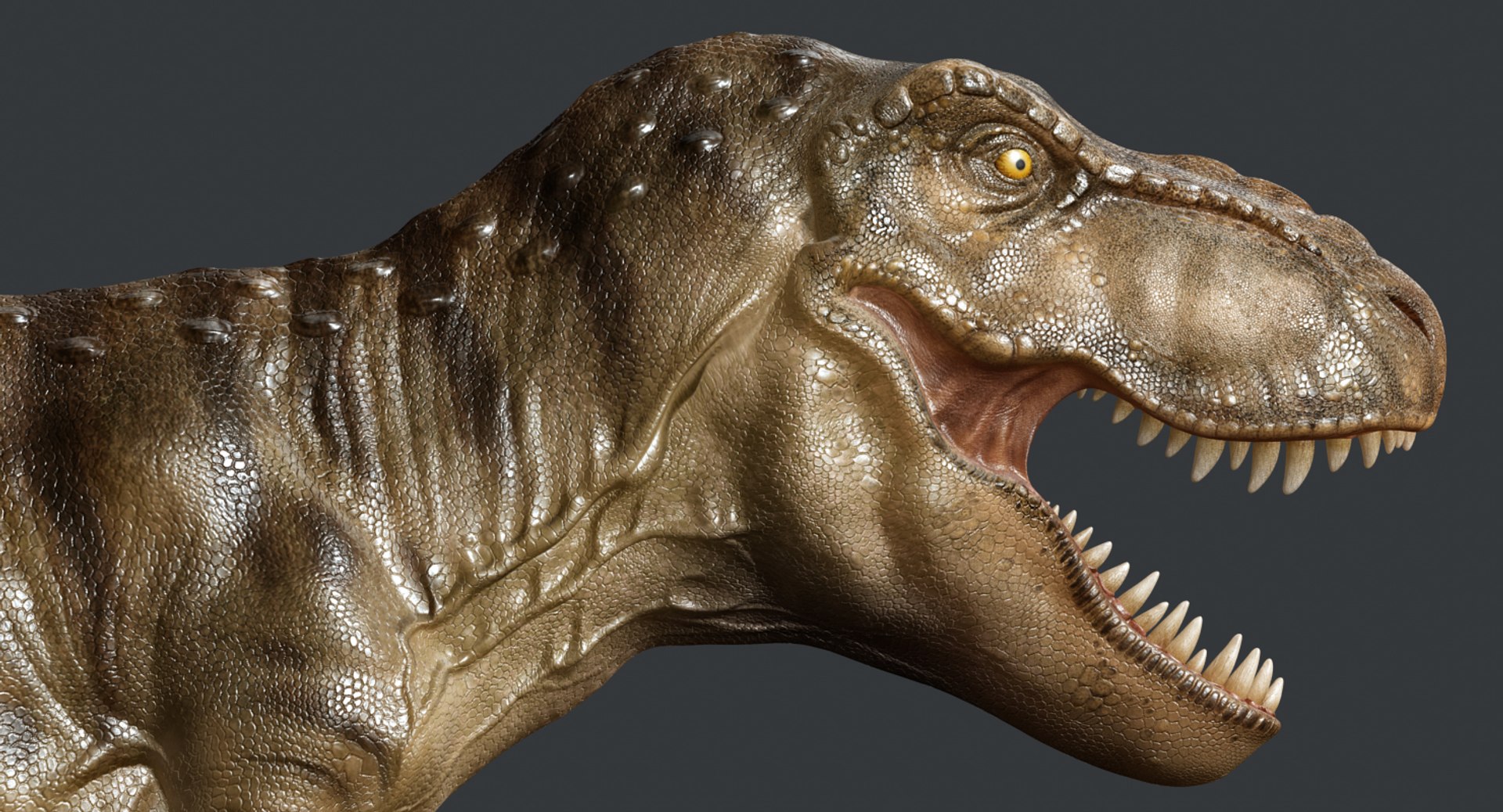 tyrannosaurus rex trex animation 3d model https://p.turbosquid.com/ts-thumb/bb/SpD7PP/LnaUVFPO/render12/jpg/1437112086/1920x1080/fit_q87/83658b671fe4dd4e71548229263e9c10fa5a668f/render12.jpg