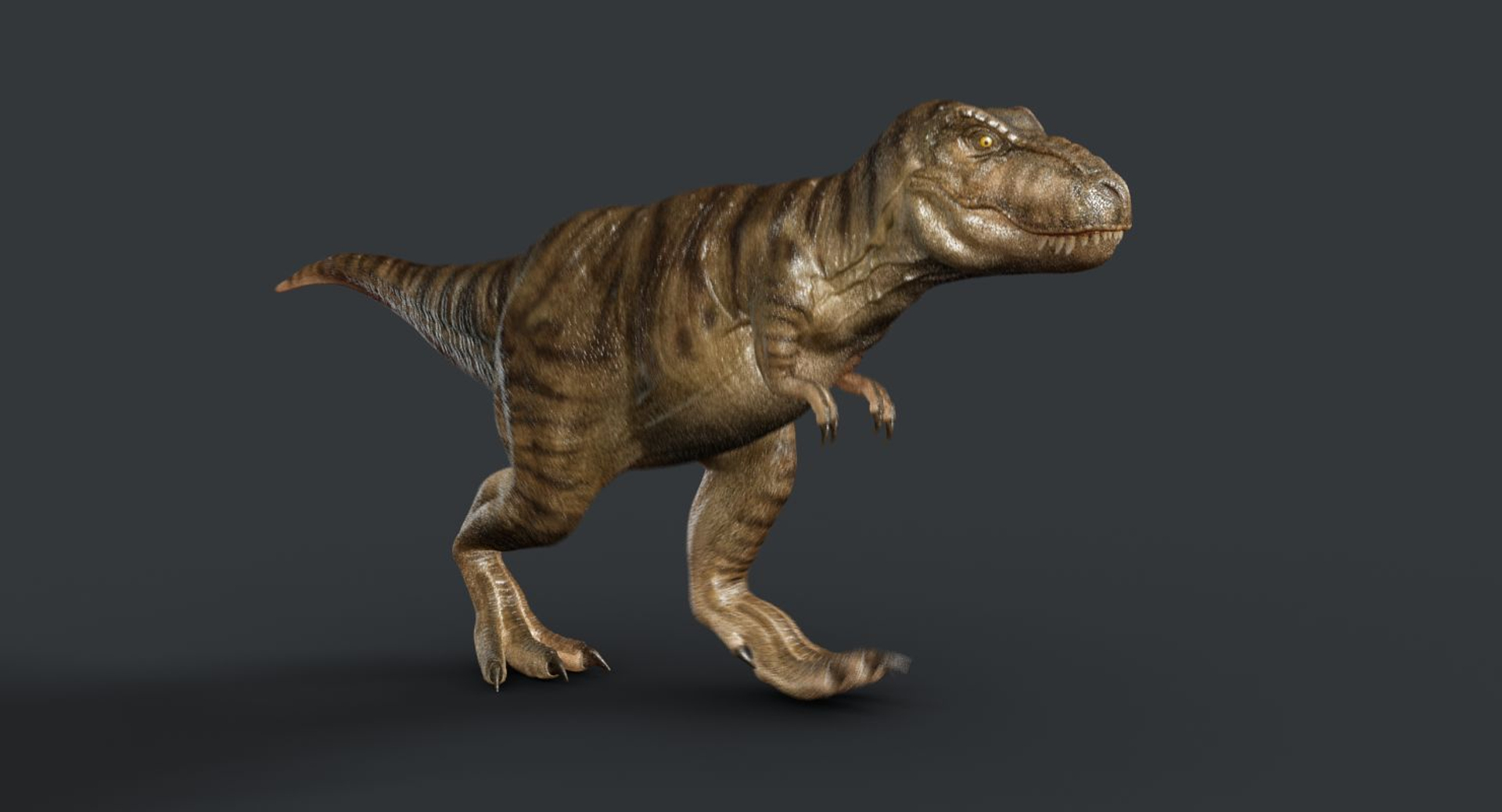 tyrannosaurus rex trex animation 3d model