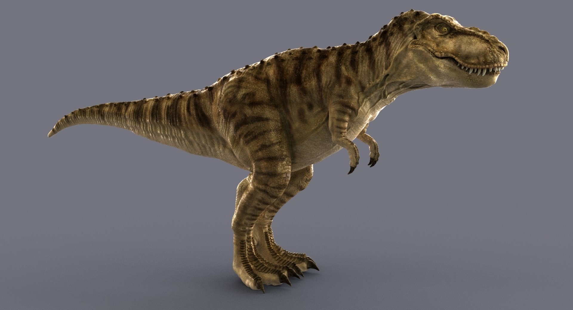 tyrannosaurus rex trex animation 3d model https://p.turbosquid.com/ts-thumb/bb/SpD7PP/T64E9rXV/01/jpg/1543225095/1920x1080/fit_q87/ef22c4c62fd330f5e261a50e40720c67924078b3/01.jpg