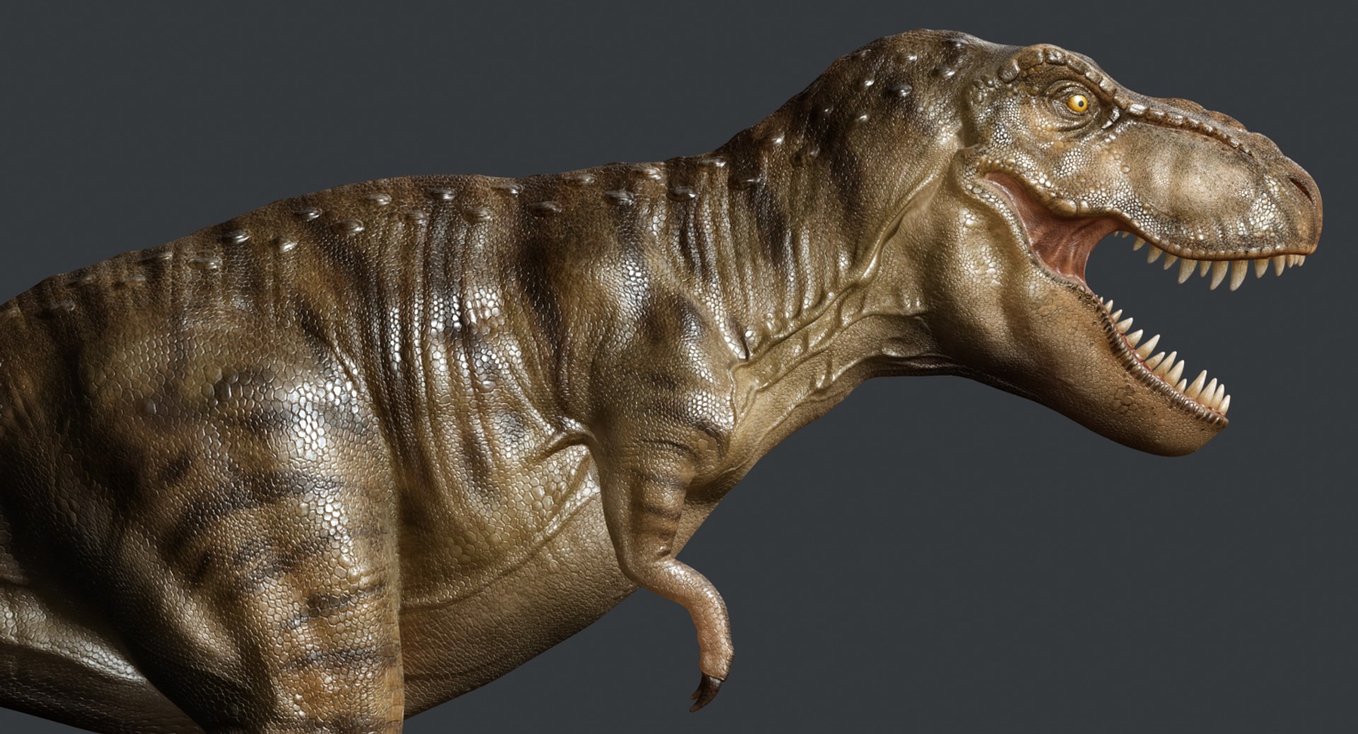 tyrannosaurus rex trex animation 3d model https://p.turbosquid.com/ts-thumb/bb/SpD7PP/XKwkFgvL/render11/jpg/1437112086/1920x1080/fit_q87/8eb2ae0446c12dc3b7336d03a8ea7c1ca93a9f56/render11.jpg