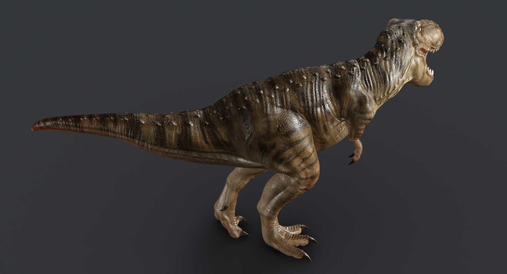 tyrannosaurus rex trex animation 3d model https://p.turbosquid.com/ts-thumb/bb/SpD7PP/ftJZ2xO6/render3c/jpg/1437112086/1920x1080/fit_q87/539fcff5d1112bd0e2c24218ca4bf3952a78e80c/render3c.jpg