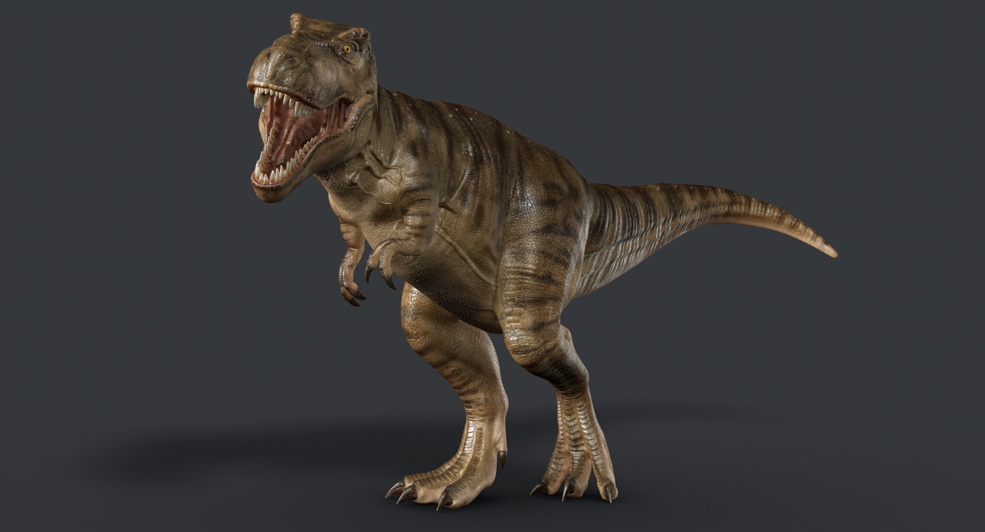tyrannosaurus rex trex animation 3d model https://p.turbosquid.com/ts-thumb/bb/SpD7PP/gweHSH3S/render2/jpg/1437112086/1920x1080/fit_q87/db5b72b80a5c024ea1d77ced428b2c79e13651b5/render2.jpg