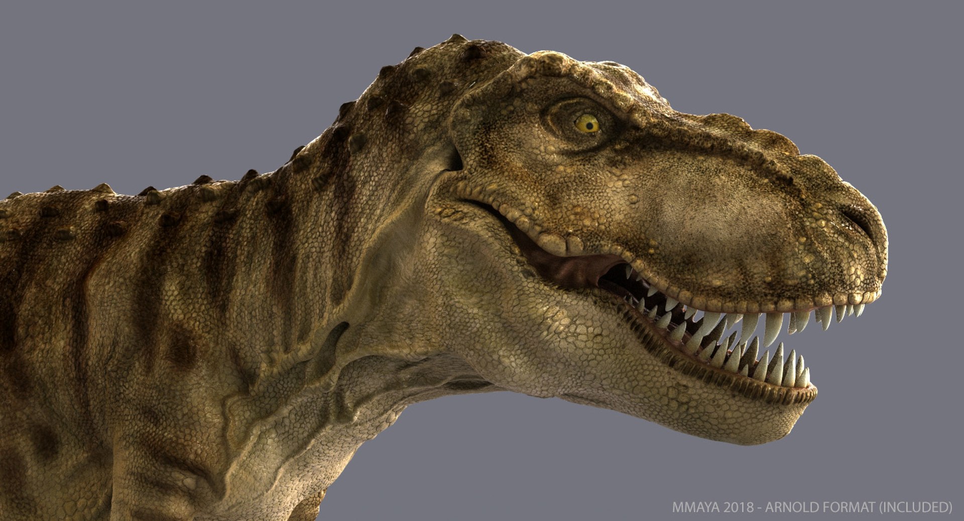 tyrannosaurus rex trex animation 3d model https://p.turbosquid.com/ts-thumb/bb/SpD7PP/tSPdGlIq/03/jpg/1543225141/1920x1080/fit_q87/1ea797f6cddf89fa6c2ae598db7c02d9f793ec11/03.jpg