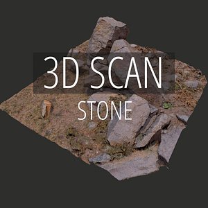 3D scan stone model