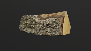 realistic firewood model