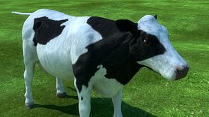 cow animal realistic 3d model
