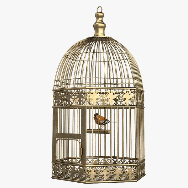 bird cage 3d model