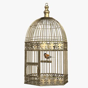 Bird Cage