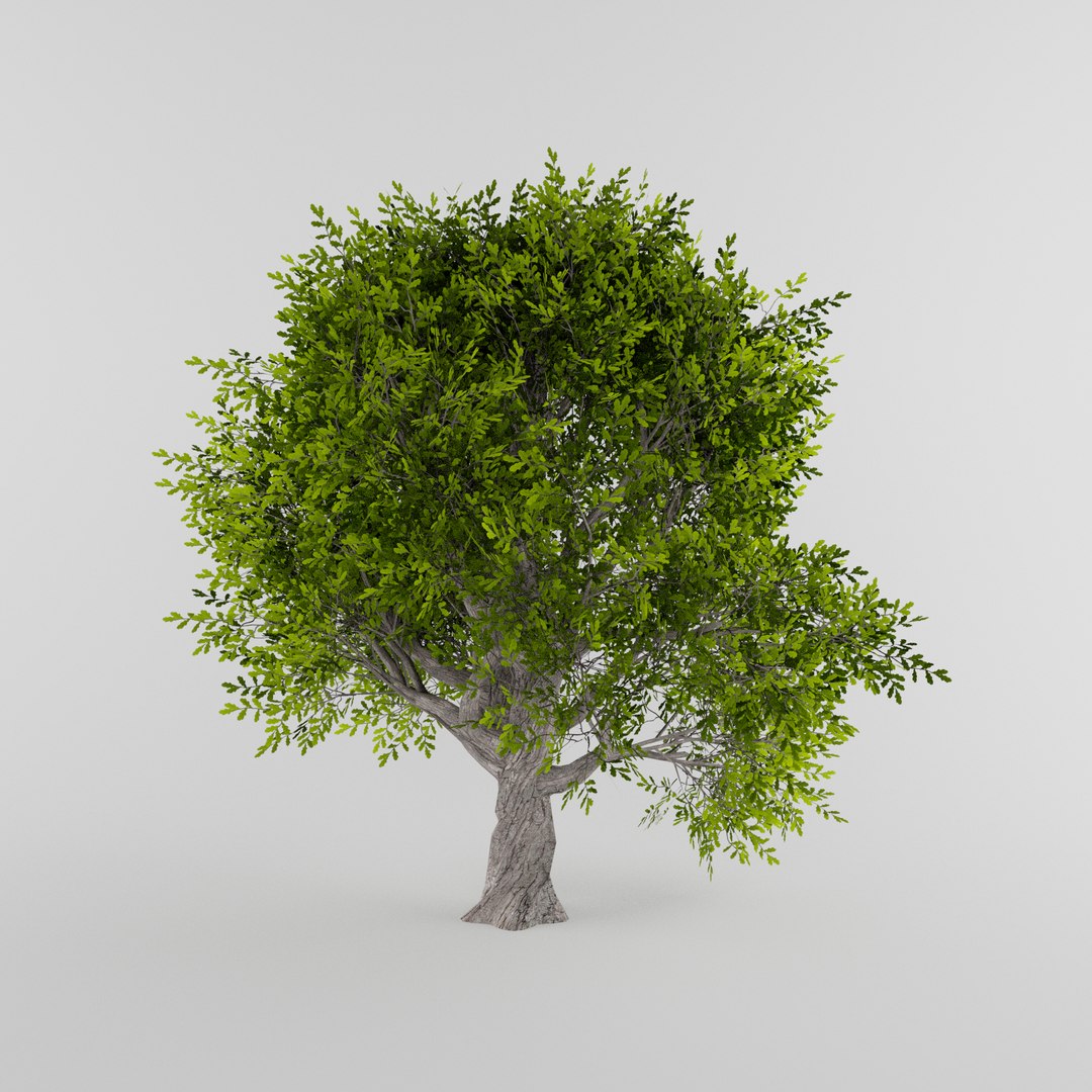 3D Tree Collection - TurboSquid 1891823