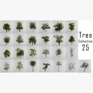 3D Tree Collection