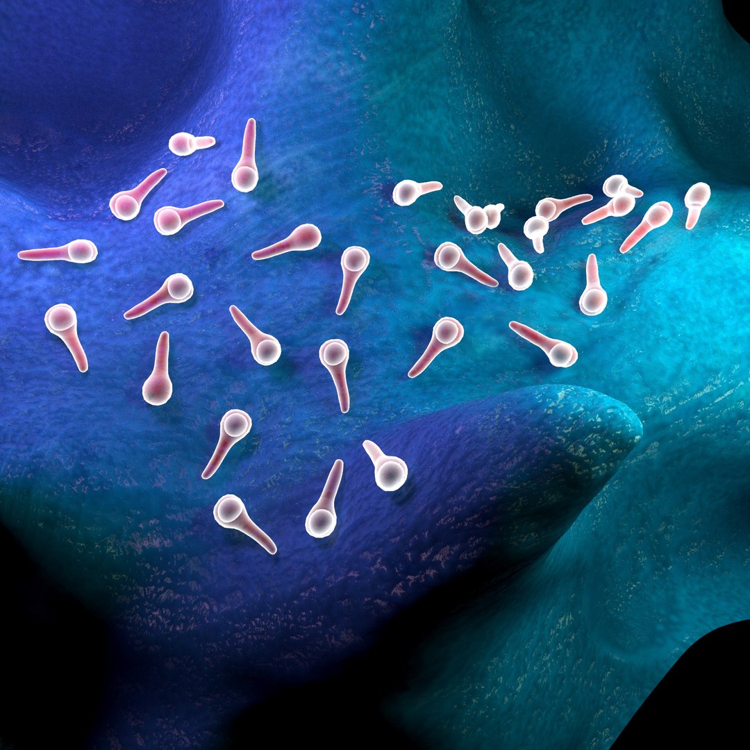 Tétano Modelo 3D - TurboSquid 1324704, image size:1080x1080