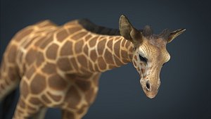3d model giraffe stl