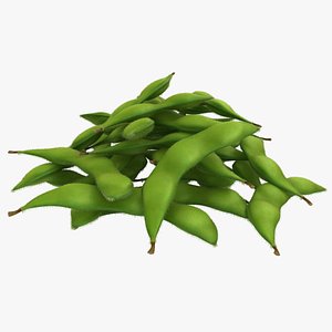 realistic edamame pose 2 3D model