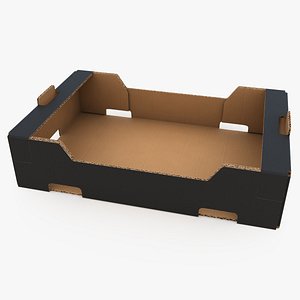 Fruit Cardboard Box v1 Black 3D