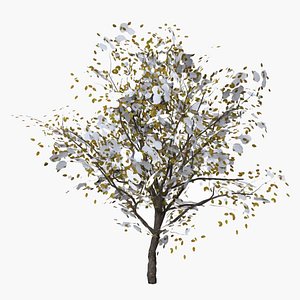 orange winter low poly