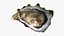 Half Shell Oyster Collection