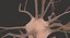 3D nerve cell model