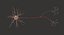 3D nerve cell model