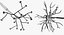 3D nerve cell model