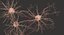 3D nerve cell model