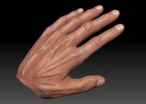 obj realistic male hand