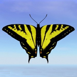 3d model butterfly tiger swallowtail