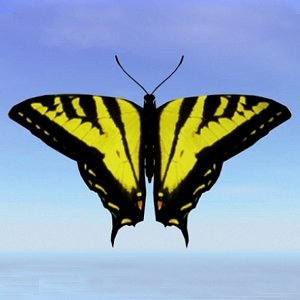 Tiger Swallowtail.obj
