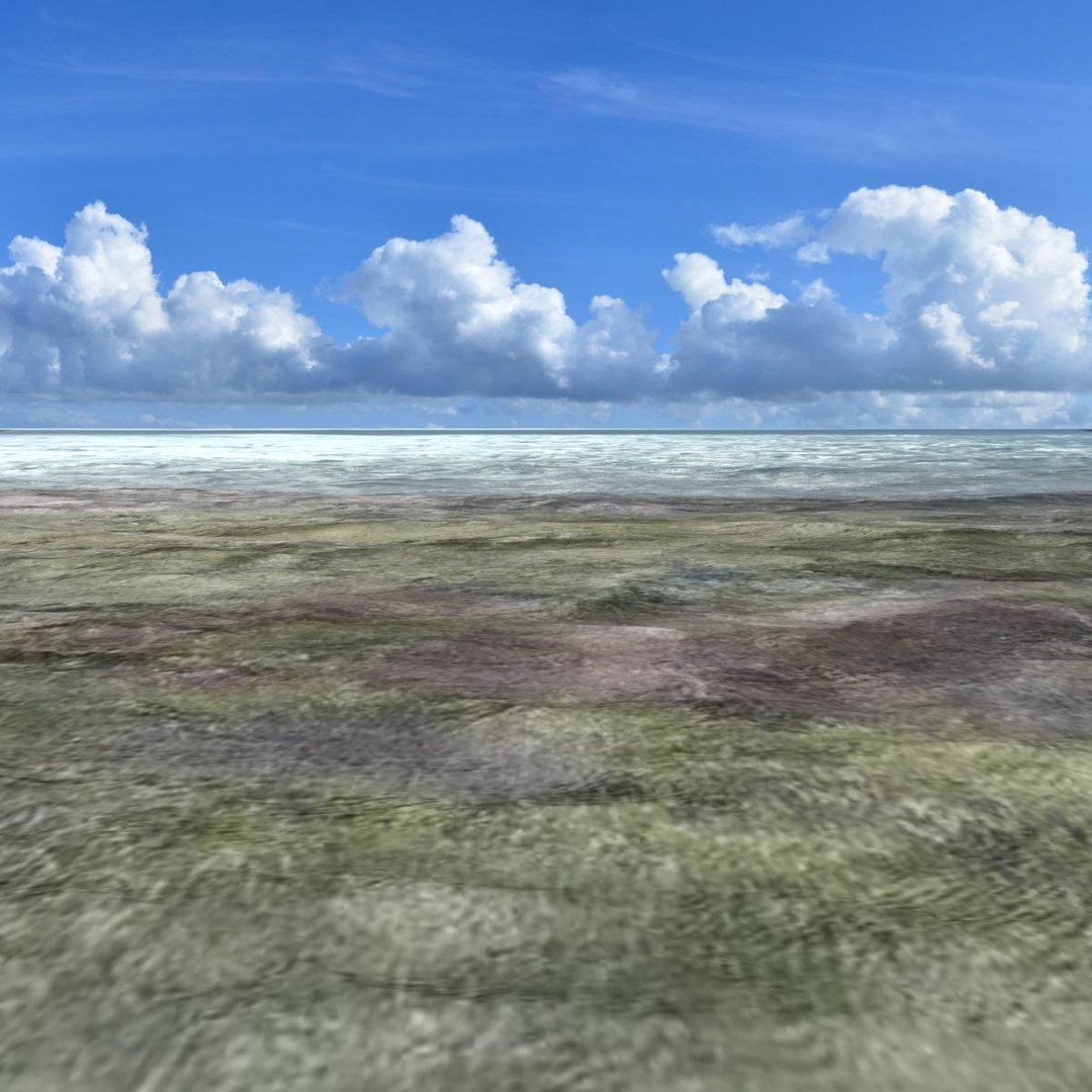 Ocean Seascape Scenes Sea 3d Model