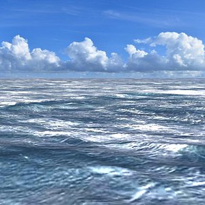 Ocean Seascape Scene