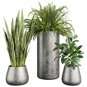 3D plant vol 945 - fern - rubber - sansveria model
