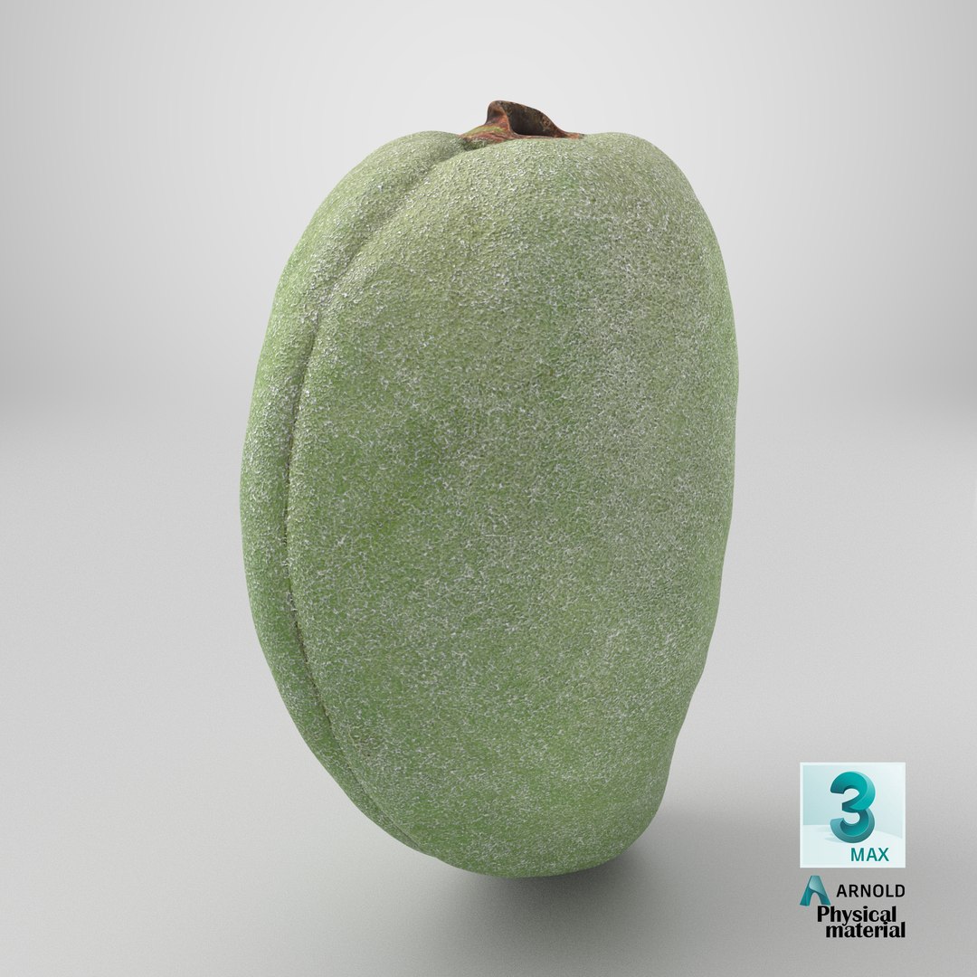 3D Unripe Almond Nut - 3D Scanned https://p.turbosquid.com/ts-thumb/bd/5KvVe2/1o/stemcell_max_physical_render/png/1782396269/1920x1080/fit_q87/63e39b966f646644807d820b68b9d5020e988f75/stemcell_max_physical_render.jpg