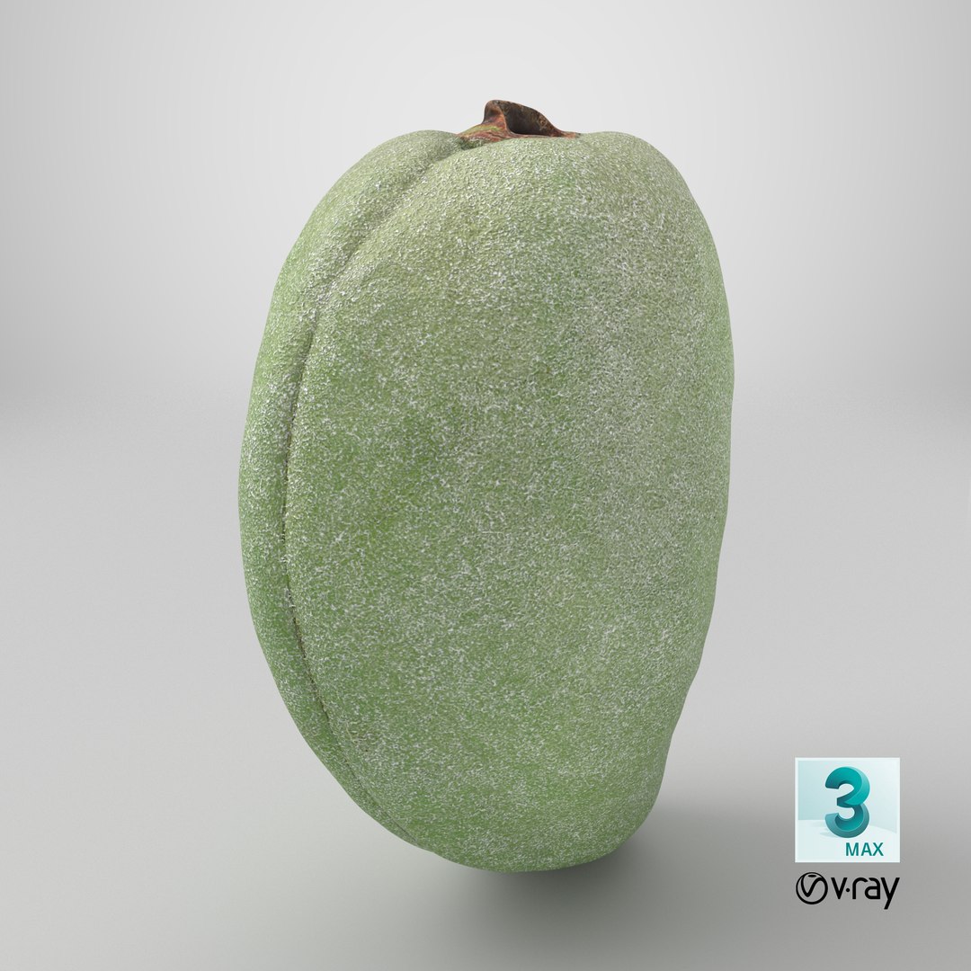 3D Unripe Almond Nut - 3D Scanned https://p.turbosquid.com/ts-thumb/bd/5KvVe2/3P/stemcell_max_vray_render/png/1782396265/1920x1080/fit_q87/0441063fc18881e72a8ef8c2df5048dc184748c5/stemcell_max_vray_render.jpg