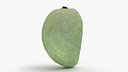 Unripe Almond Nut - 3D Scanned