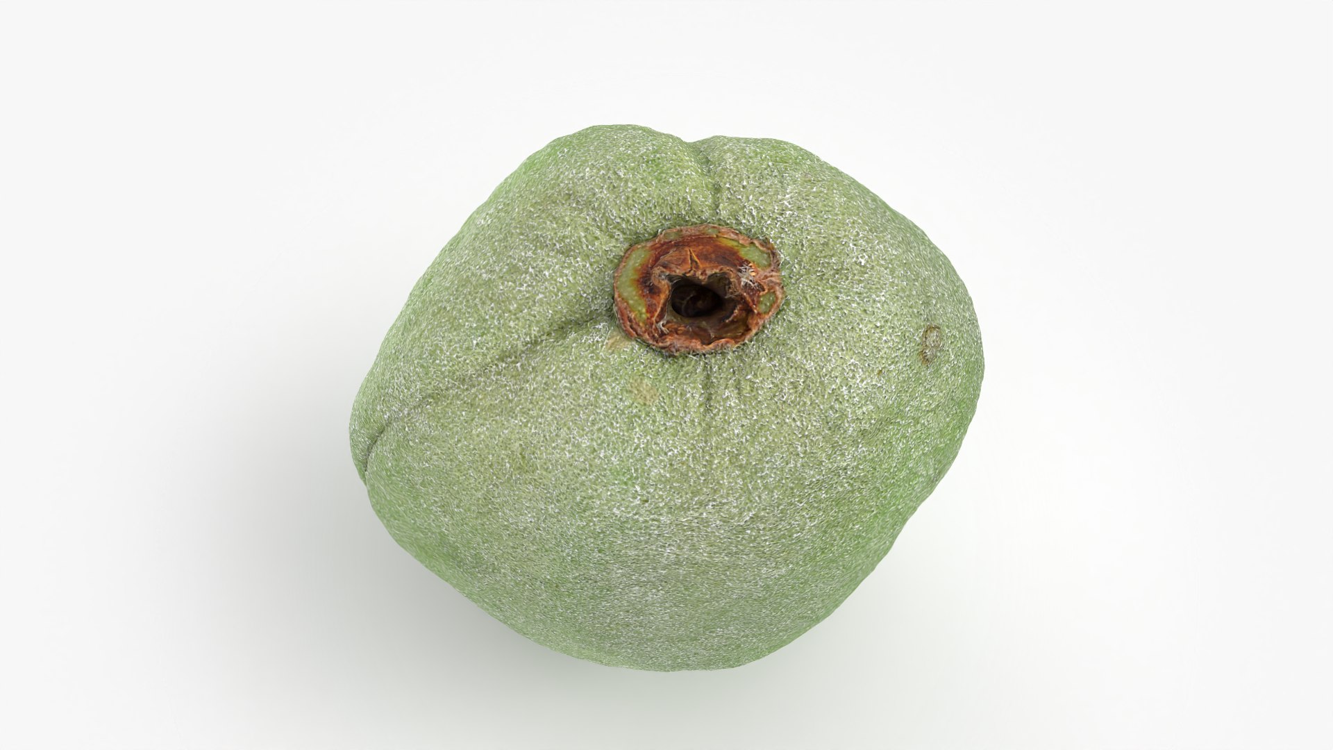 3D Unripe Almond Nut - 3D Scanned https://p.turbosquid.com/ts-thumb/bd/5KvVe2/MQ/almondgreen01_0005/png/1780420608/1920x1080/fit_q87/6522fec9e7802079877ae1ff8de286a73bf535f3/almondgreen01_0005.jpg