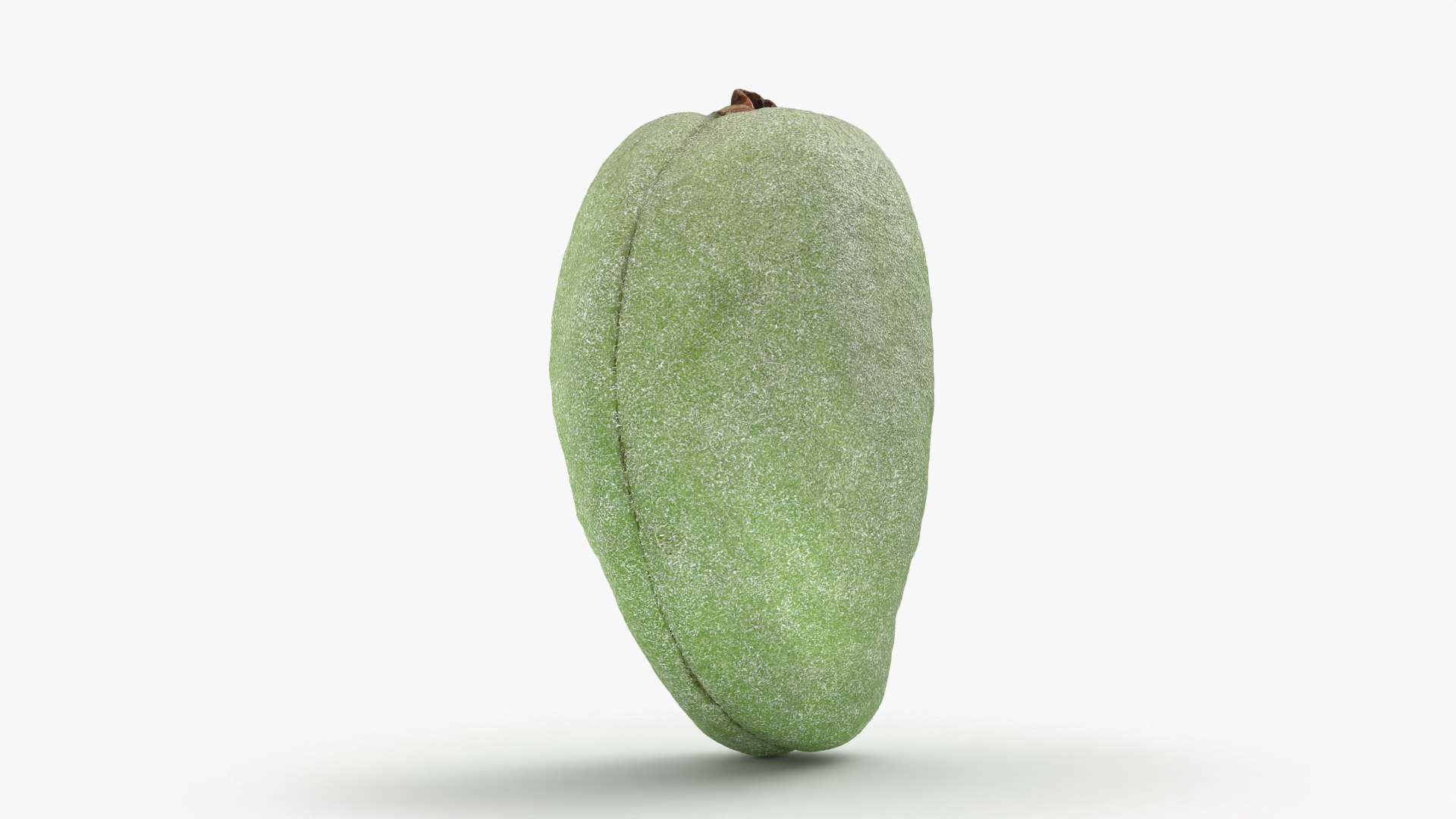 3D Unripe Almond Nut - 3D Scanned https://p.turbosquid.com/ts-thumb/bd/5KvVe2/Sr/almondgreen01_0004/png/1780420607/1920x1080/fit_q87/8e71f7623d8127903b2096145acdbd89bc0a5060/almondgreen01_0004.jpg