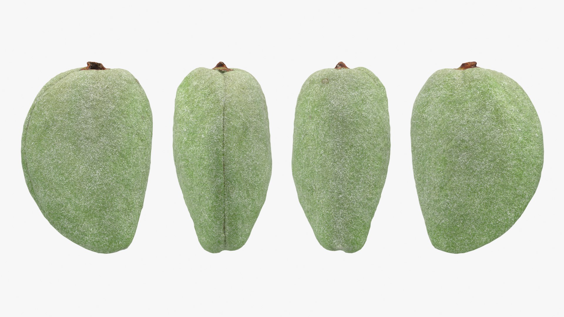 3D Unripe Almond Nut - 3D Scanned https://p.turbosquid.com/ts-thumb/bd/5KvVe2/dl/almondgreen01_0001b/png/1780420592/1920x1080/fit_q87/eadbc312f5810f9ad5b5a4b16c95cc498d9f36cd/almondgreen01_0001b.jpg