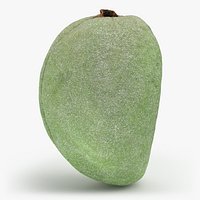 Unripe Almond Nut - 3D Scanned