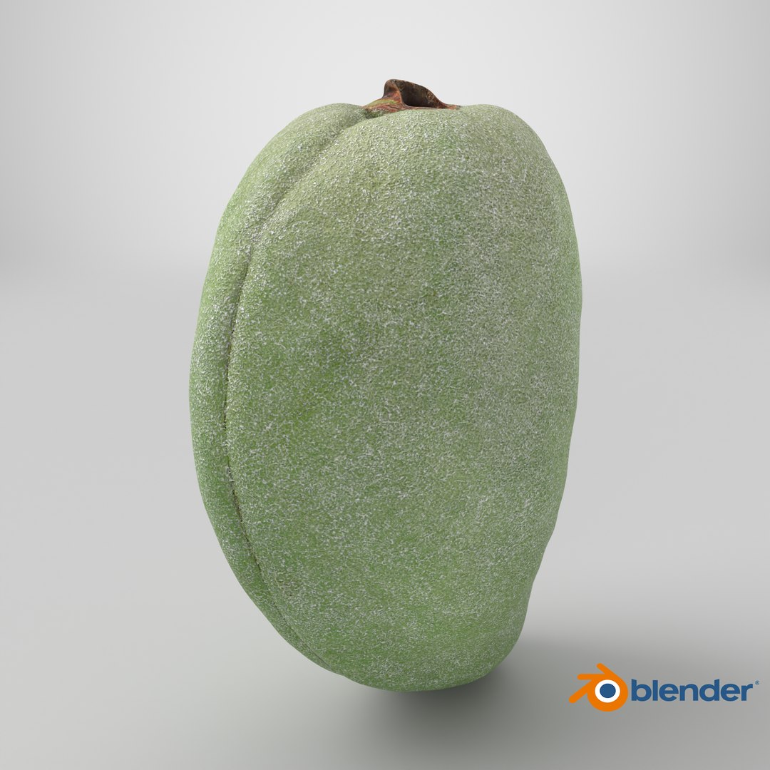 3D Unripe Almond Nut - 3D Scanned https://p.turbosquid.com/ts-thumb/bd/5KvVe2/jY/stemcell_blender_cycles_render/png/1782396253/1920x1080/fit_q87/f7f0bd038fc6ac6dc46d8baa3a8f3f9166d612be/stemcell_blender_cycles_render.jpg