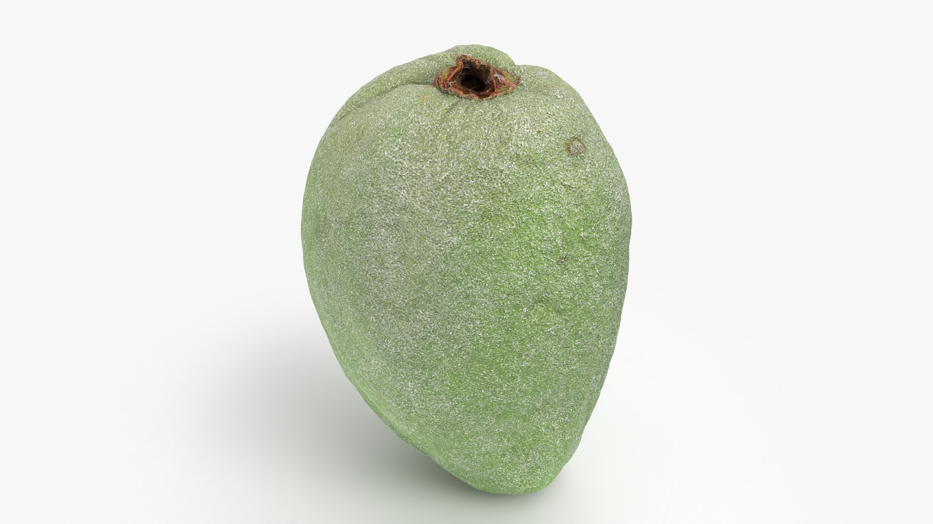 3D Unripe Almond Nut - 3D Scanned https://p.turbosquid.com/ts-thumb/bd/5KvVe2/oy/almondgreen01_0008/png/1780420615/1920x1080/fit_q87/d4a5750246ac221594a81f15991f6eca0c5a75ac/almondgreen01_0008.jpg